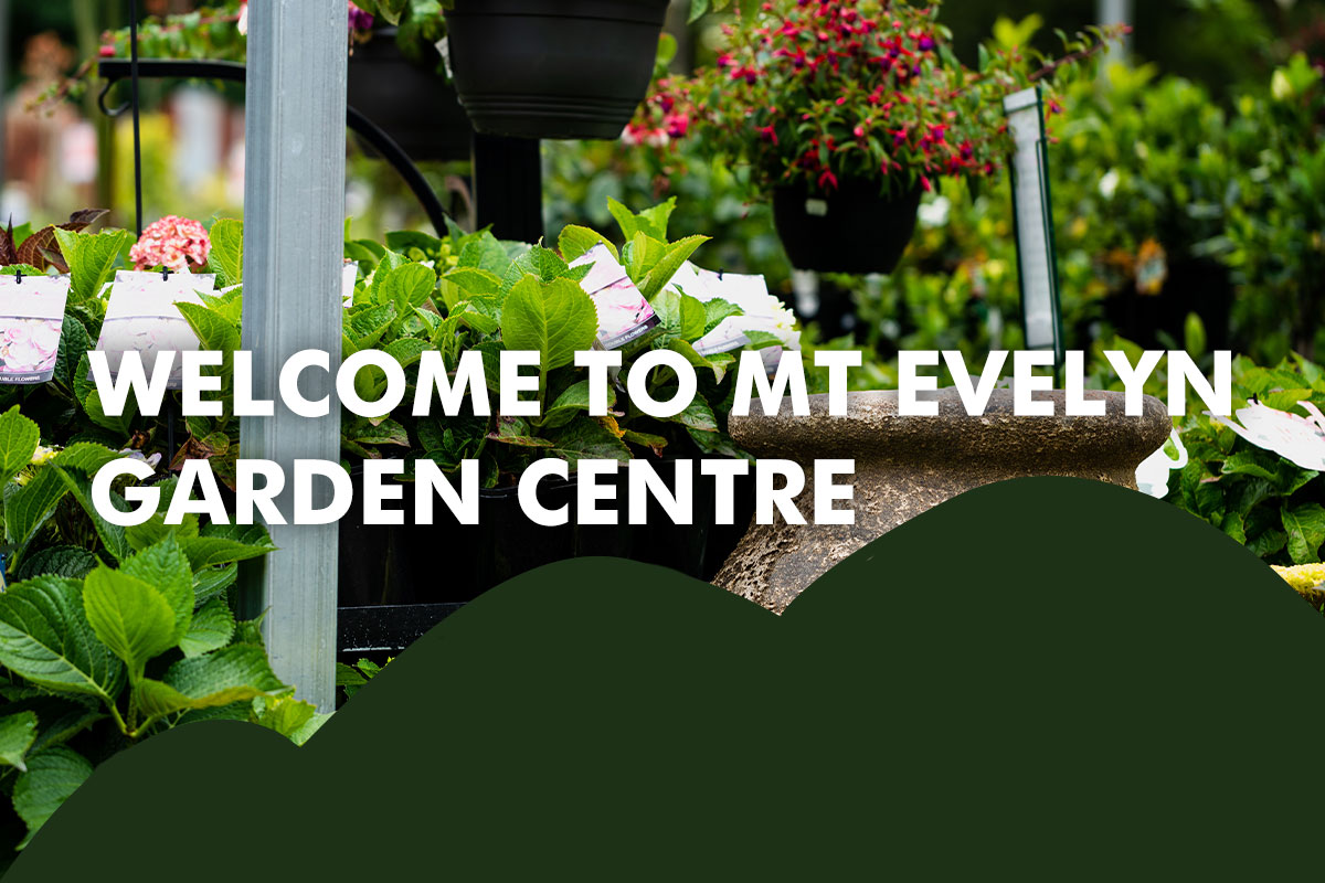 Mt Evelyn Garden Centre Yarra Valleys Favourite Garden Centre